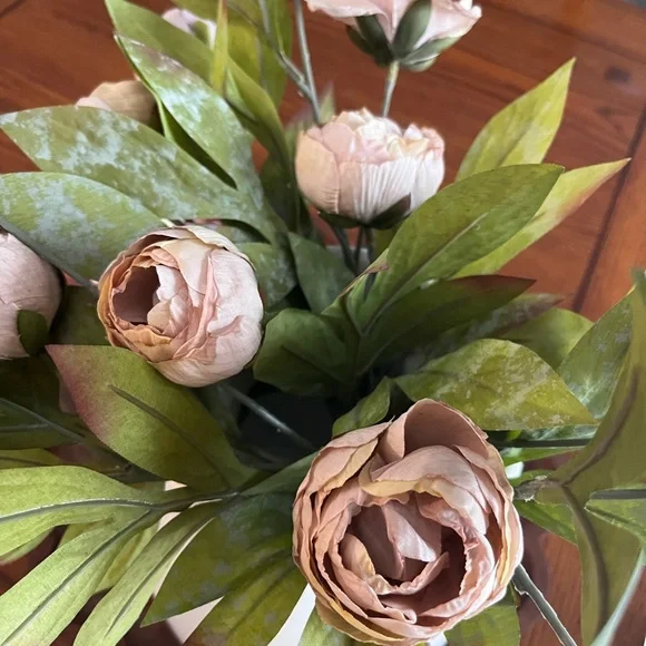8 Tan Peonies- Ashland Stem